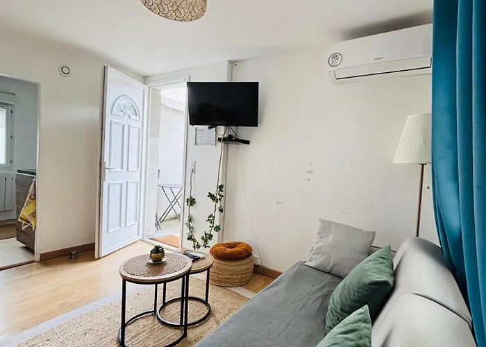 Appartement Avec Terrasse - Goupama Stadium, Eurexpo, Ldlc Arena, La Soie